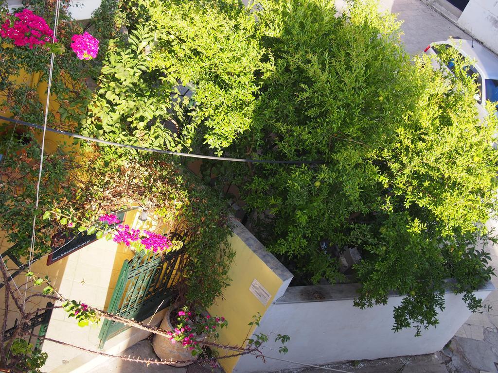 Prokimea Seaview Apartments Lefkada City ภายนอก รูปภาพ